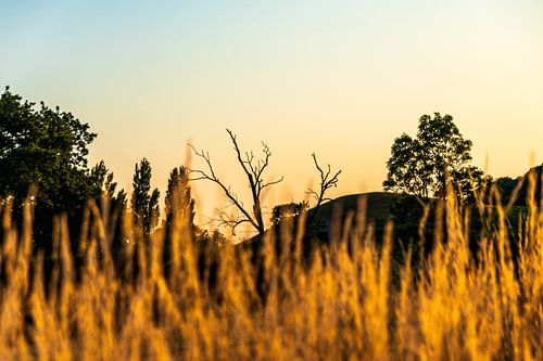 Een Engels landschap in de avond