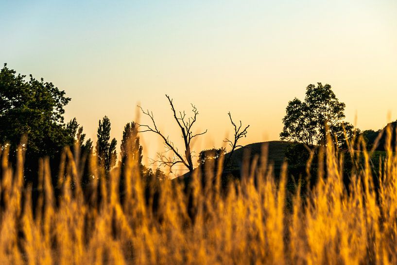 An English landscape in the evening by Jurjen Jan Snikkenburg