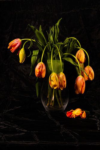 Still life of french tulips in glass vase