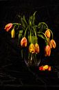 Still life of french tulips in glass vase by Roland de Zeeuw fotografie thumbnail
