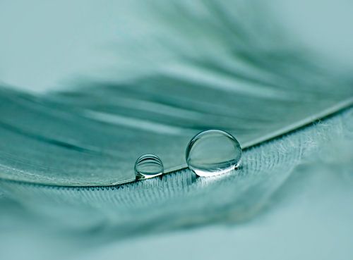 Vederlicht... (Druppels in Petrol)