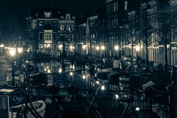 Beautiful Leiden! by Dirk van Egmond