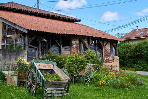Entouré de fleurs, d'une grange française à moitié détruite et d'une vieille charrette à bras.