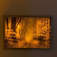 Photo de nos clients: La frange de l'automne par Tvurk Photography, sur toile