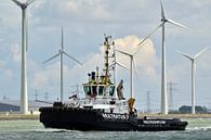 Multratug 7 by Henk Noevers thumbnail