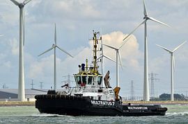 Multratug 7 von Henk Noevers