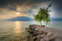 Sonnenuntergang am Gardasee in Torbole