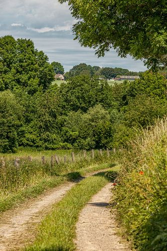 Holle weg bij Simpelveld in Zuid-Limburg