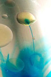 Seerose von Ronny Struyf