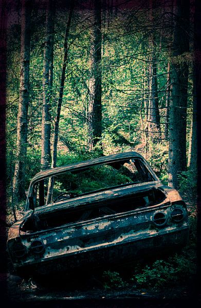 American dream? by Ton van Buuren