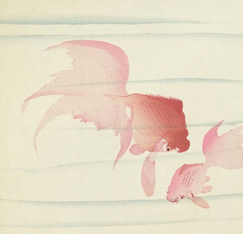 Ohara Koson - Zwei Schleierschwänze (bearbeitet) von Peter Balan