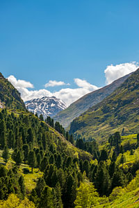 Venttalblick in den Tiroler Alpen in Austira im Frühling