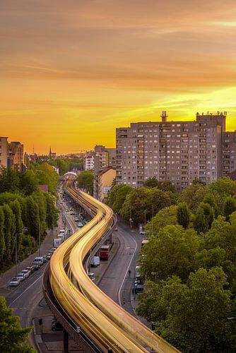 Berlin Double Serpent sur Iman Azizi