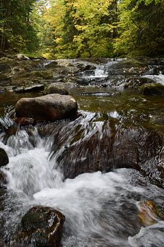 Een rivier in de herfst van Claude Laprise