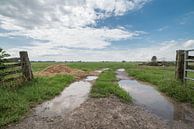 Zäune im Polderbereich von Beeldbank Alblasserwaard Miniaturansicht