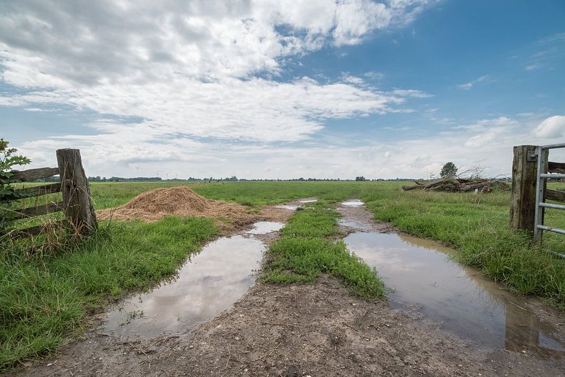 Fences in the polder area by Beeldbank Alblasserwaard