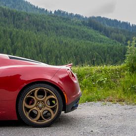 Alfa Romeo 4C in de natuur van The Wandering Piston