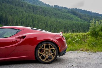 Alfa Romeo 4C in der Natur von The Wandering Piston