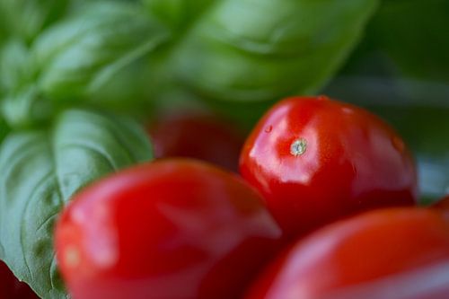 Fresh tomatoes and basil by Martina Weidner
