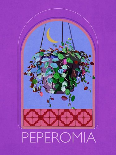 Peperomia