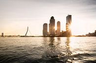 Rotterdamer Skyline von Claire Droppert Miniaturansicht