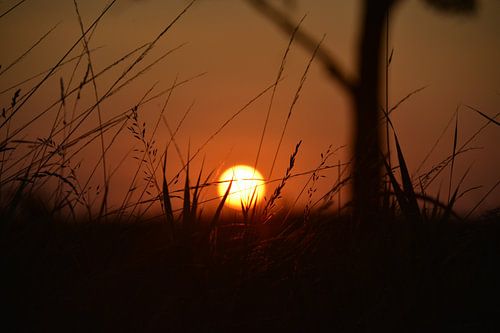 Zonsondergang