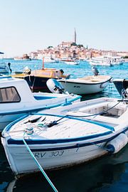 Port de Rovinj, Croatie sur Sanne van Heukelum
