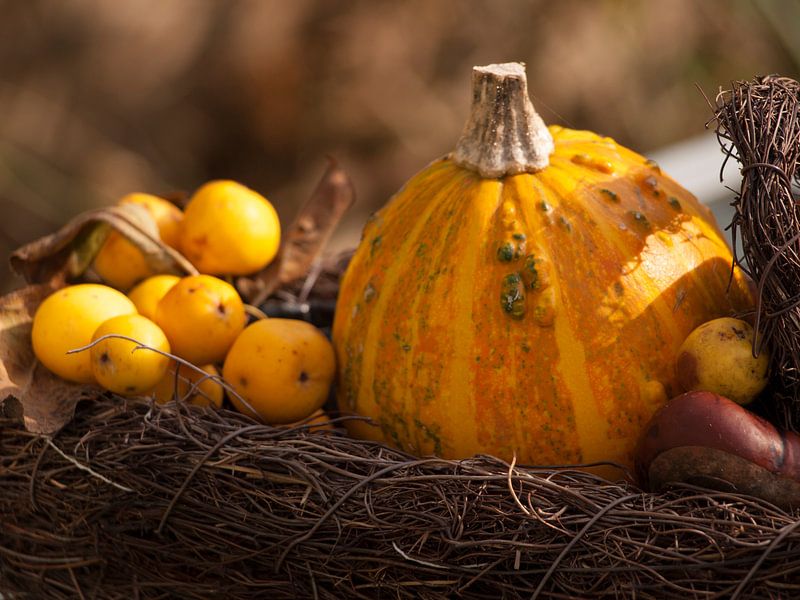 Herfststilleven by Rinke Velds
