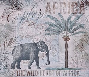 Ontdek Afrika! van Andrea Haase