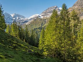 Hohe Tauern - View from the Grossglockner High Alpine Road by ManfredFotos