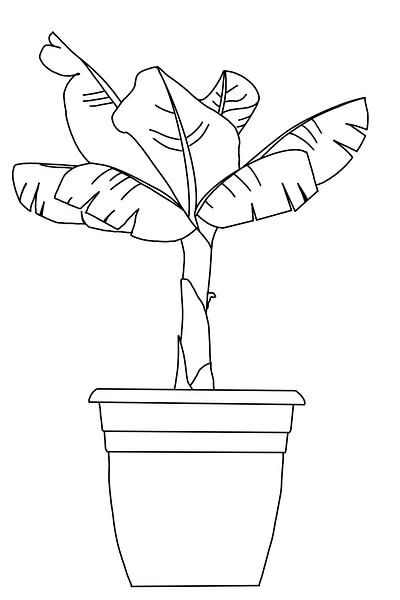 Bananenpflanze schwarz-weiß von MishMash van Heukelom