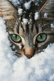 Cat face in the snow by Poster Art Shop