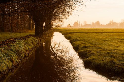 Niederländischer Polder