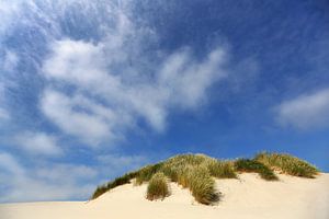 Un ciel bleu audacieux au-dessus de la dune sur Caroline van der Vecht
