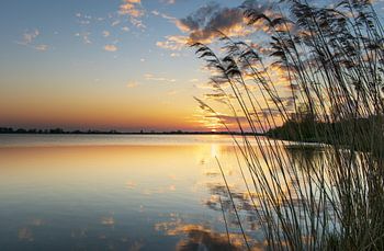 Let your dreams fly away