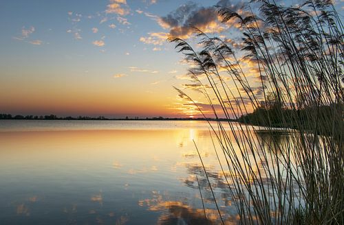 Lass deine Träume wegfliegen von Ingrid van Wageningen