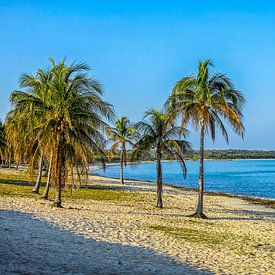 Beach at Maria la Gorda in Cuba  by Patricia Hofmeester