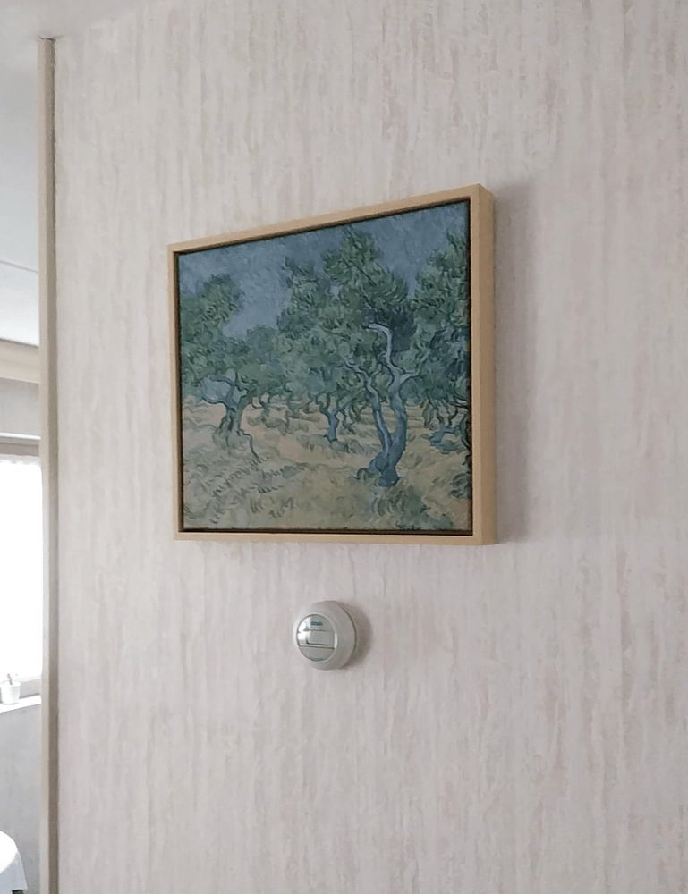 Olivenhain, Vincent van Gogh