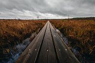 Houten planken in Zweeds moeraslandschap van Martijn Smeets thumbnail