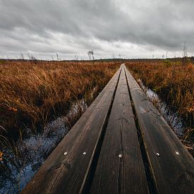 Houten planken in Zweeds moeraslandschap van Martijn Smeets
