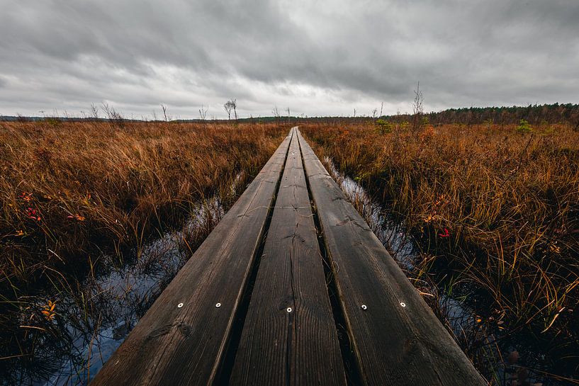 Houten planken in Zweeds moeraslandschap van Martijn Smeets