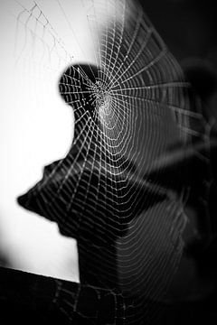 Spinnenweb in een hekwerk (zwart-wit) van Fotografie Jeronimo
