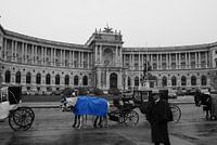 Vienna