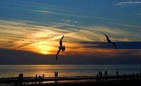 strand Bergen aan Zee