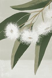 White silence on a branch by Color Square