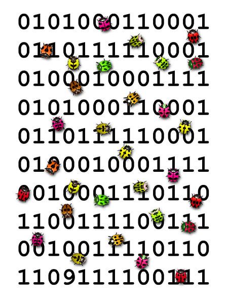 Code de programme avec bugs par L.A.B.