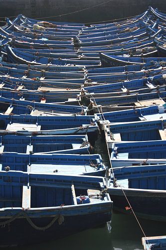 Vissersbootjes in de haven van Essaouira