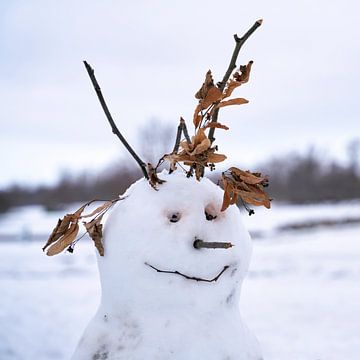 Sneeuwpop op een koude winterdag in Maagdenburg van Heiko Kueverling