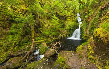 Tomies Wood - O'Sullivans Cascade (Ierland) van Marcel Kerdijk