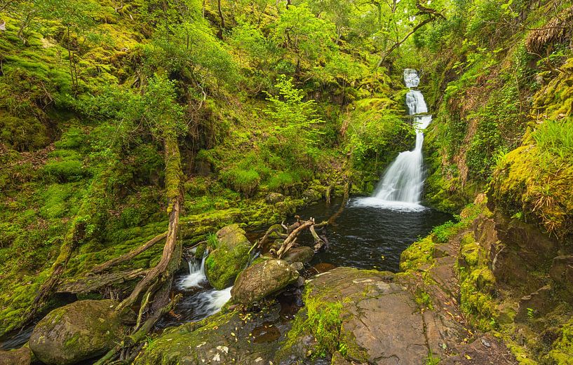 Tomies Wood - O&#039;Sullivans Cascade (Irlande) par Marcel Kerdijk